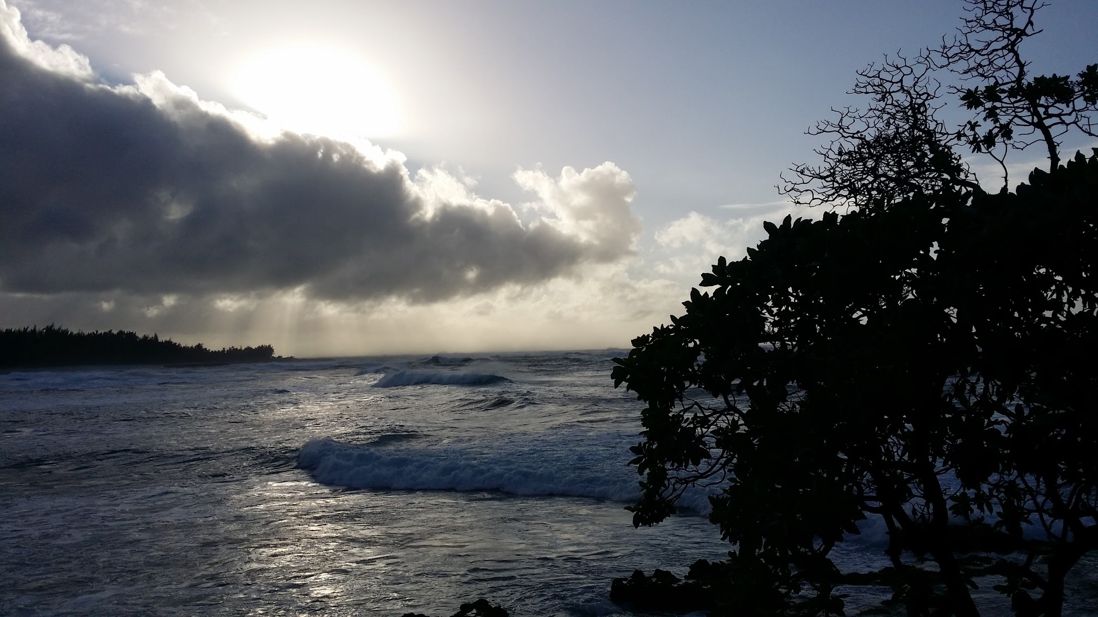 Landscape Oahu Laie Hawaii